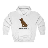 Ball is Life Unisex Hooded Sweatshirt (multicolors) - Chocolate Dog