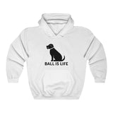 Ball is Life Unisex Hooded Sweatshirt (multicolors) - Black Dog